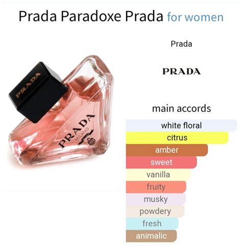 prada paradoxe notes.